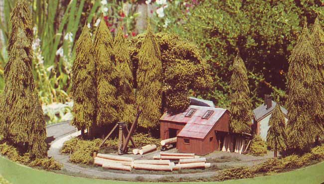 The timber yard