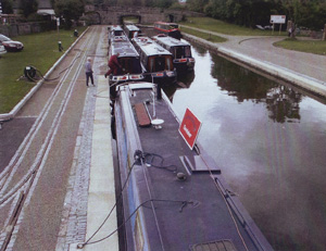 Trevor Basin